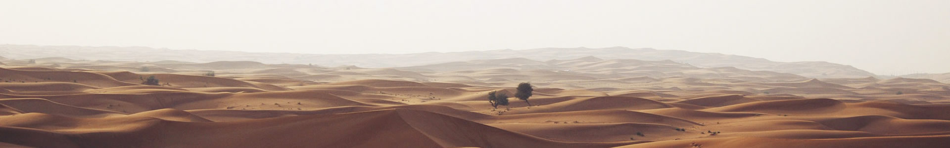 ˹人Ƽ޹˾